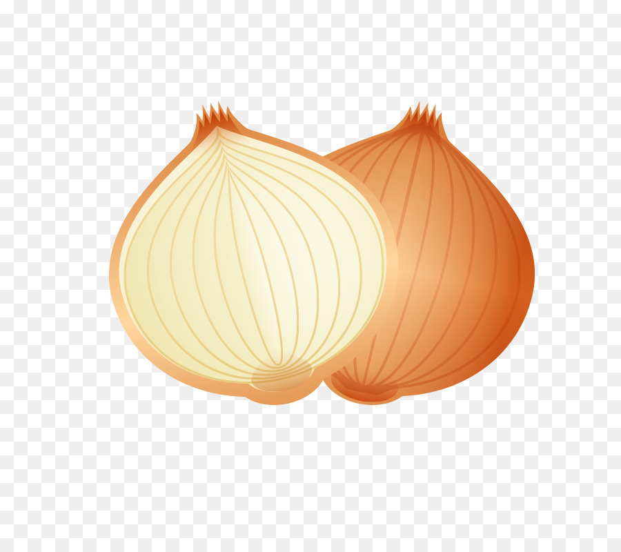 Onion Cartoon - Cartoon food onion png download - 800*800 - Free Transparent Onion png Download.