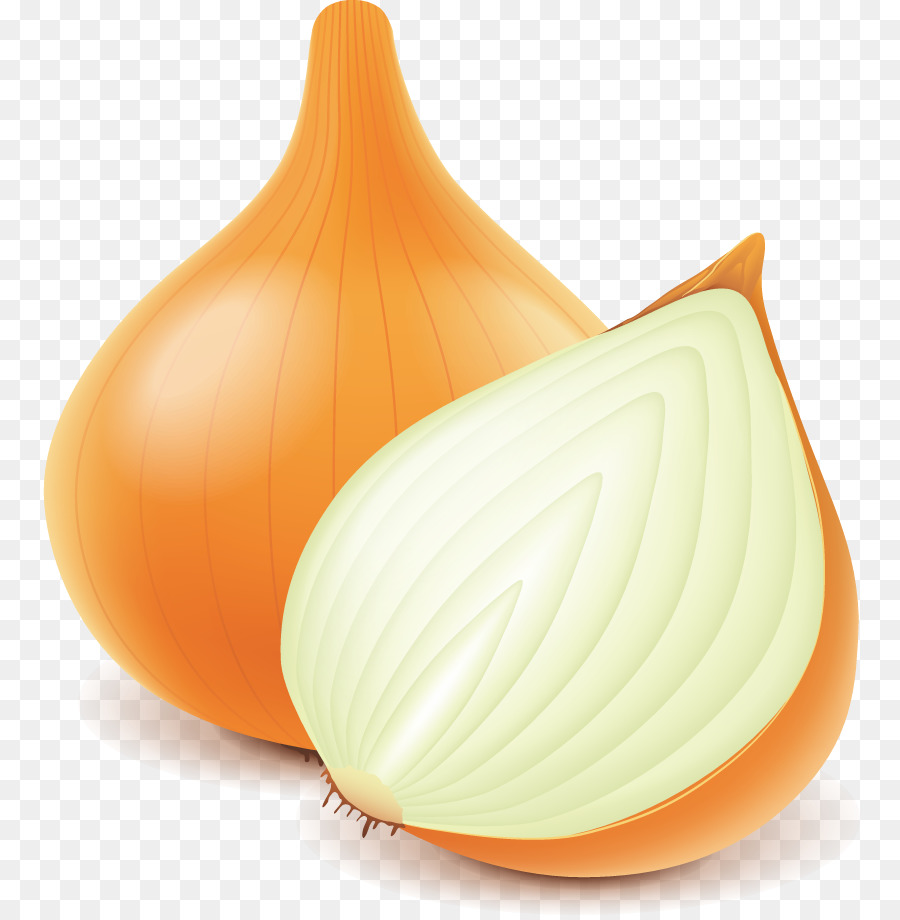 onion Euclidean vector - onion png download - 820*915 - Free Transparent Onion png Download.
