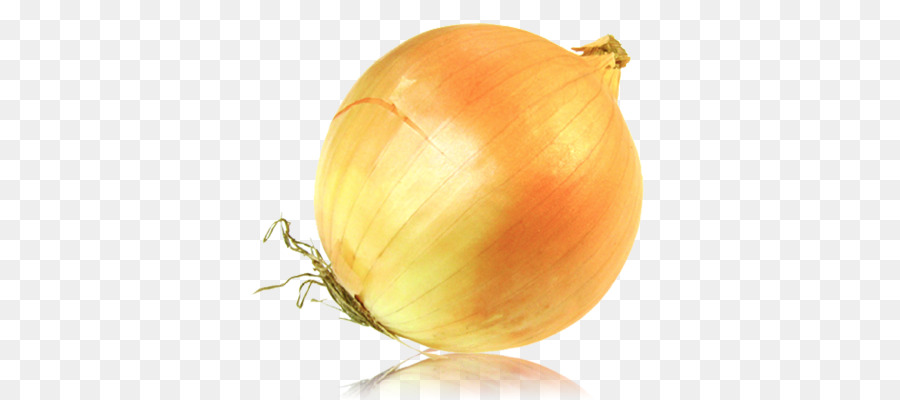 Onion Clip art - onion png download - 400*400 - Free Transparent Onion png Download.