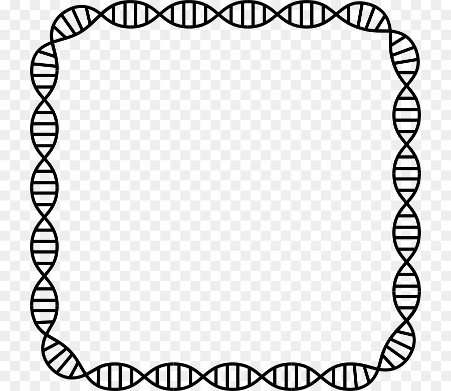Nucleic acid double helix DNA profiling Genetics - decorative page border png download - 780*780 - Free Transparent Nucleic Acid Double Helix png Download.