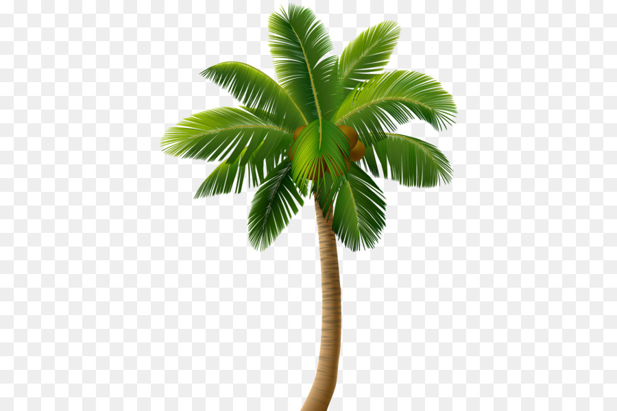 Vector graphics Clip art Palm trees Portable Network Graphics Illustration - vector blood palm png download - 443*600 - Free Transparent Palm Trees png Download.