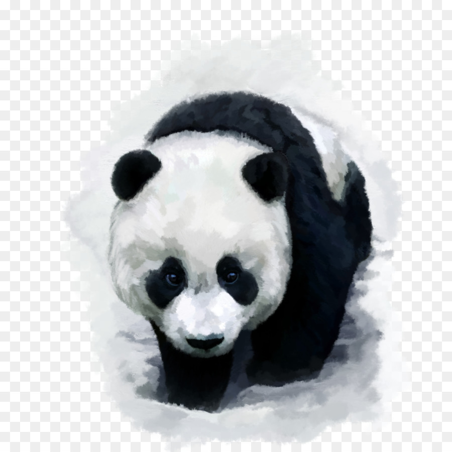 Giant panda Bear Red panda Desktop Wallpaper Baby Pandas - bear png download - 2800*2800 - Free Transparent Giant Panda png Download.
