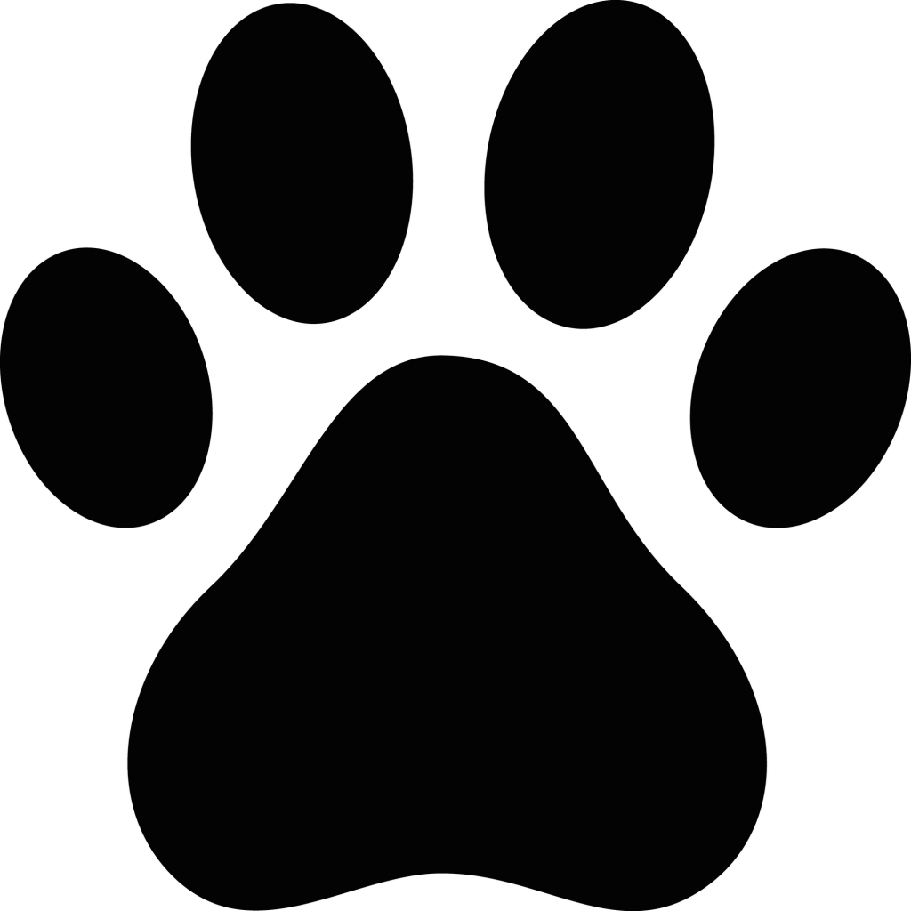 Dog Paw Puppy Cat Clip art - paw prints png download - 1024*1024 - Free ...