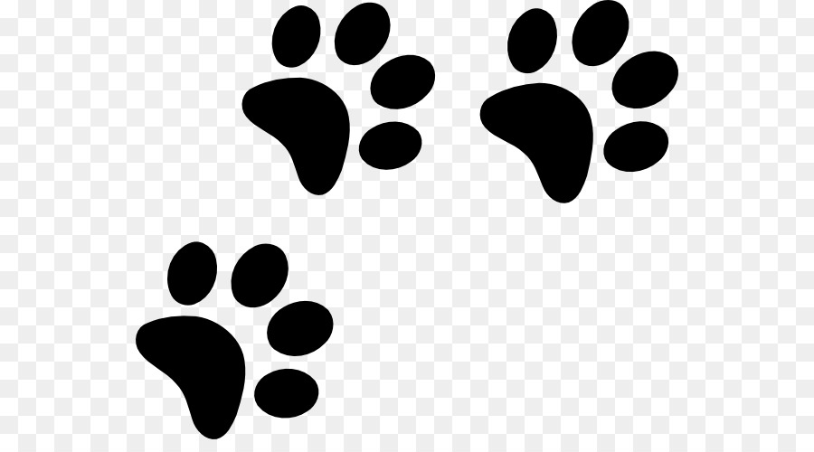 Paw Bichon Frise Havanese dog Black and Tan Coonhound Clip art - paw prints png download - 600*486 - Free Transparent Paw png Download.
