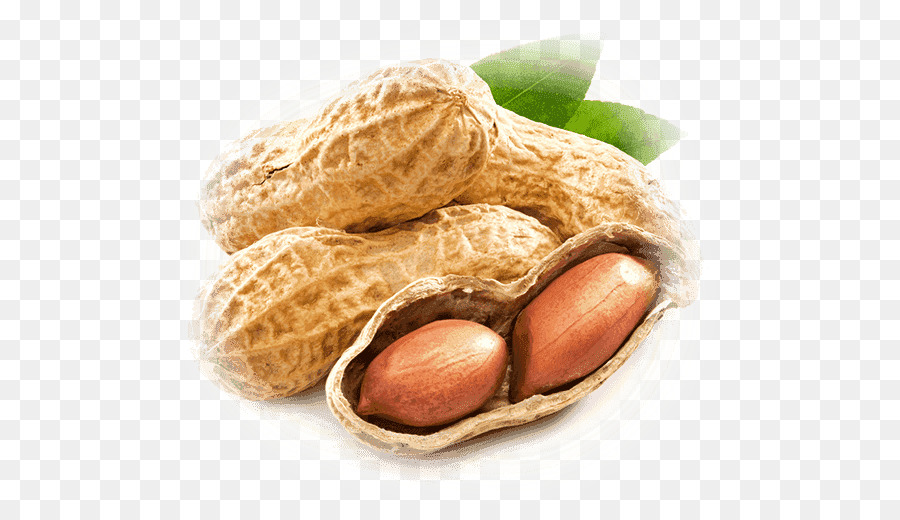 Peanut oil Flavor Seasoning - mt png download - 553*519 - Free Transparent Peanut png Download.