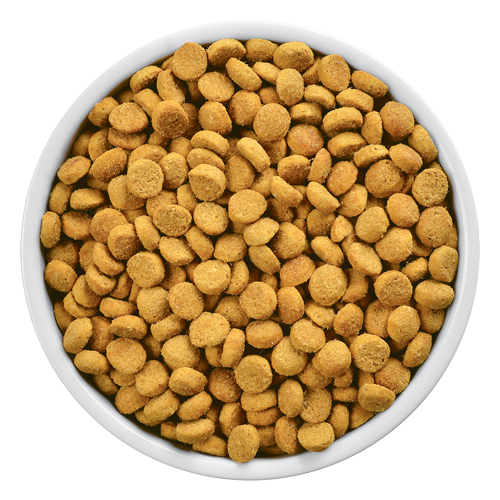 Peanut Mixture - Others Png Download - 500*500 - Free Transparent 