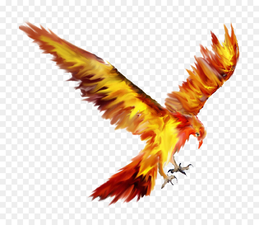 Phoenix Lights Logo Fawkes Information - Phoenix png download - 767*768 - Free Transparent Phoenix png Download.