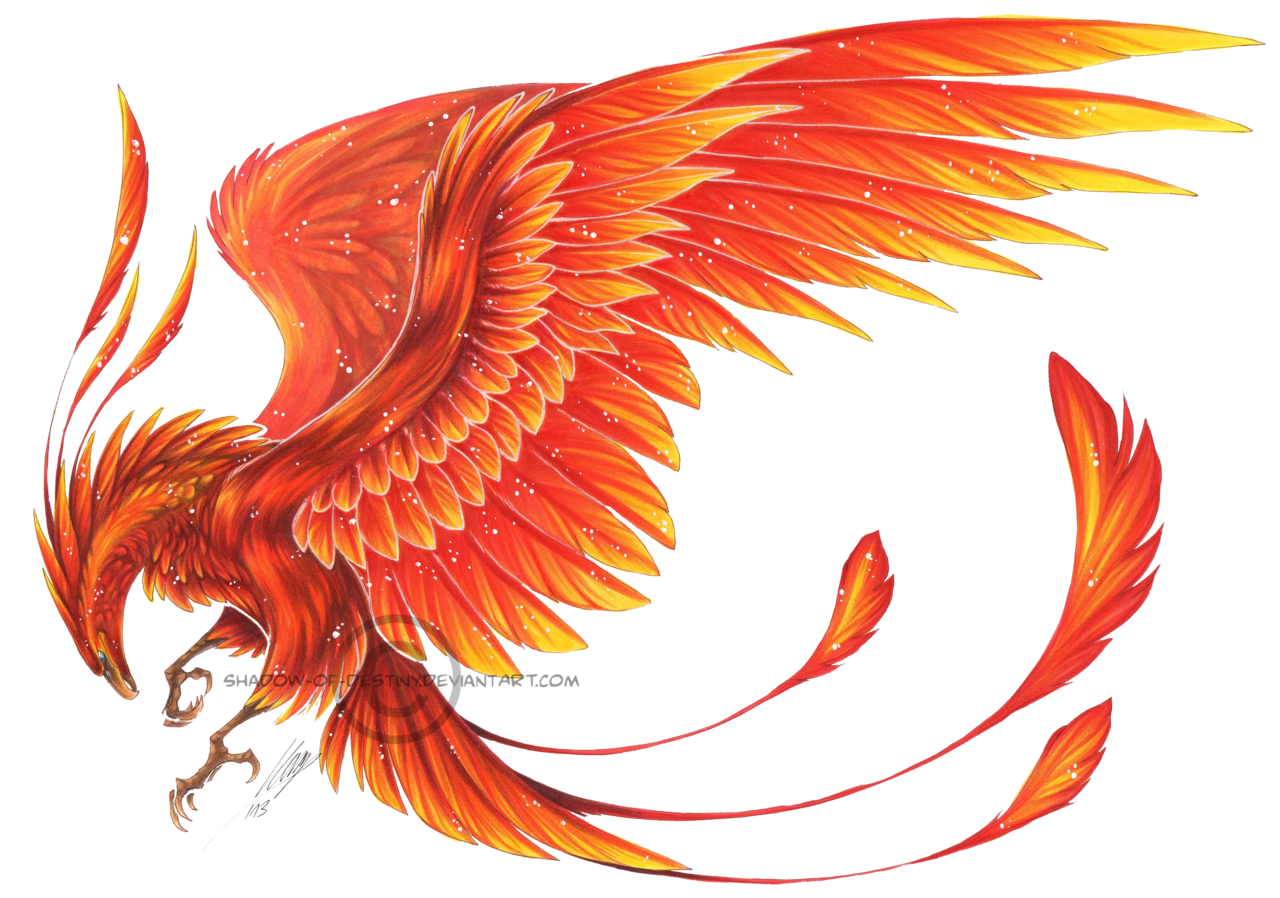 Phoenix Drawing - How To Draw A Phoenix Step By Step