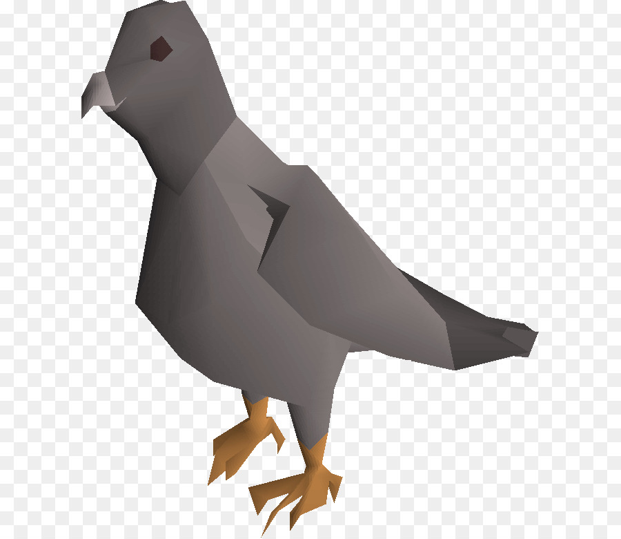 Pigeons and doves Domestic pigeon Bird Image Portable Network Graphics - chicken pokemon png bird png download - 663*778 - Free Transparent Pigeons And Doves png Download.