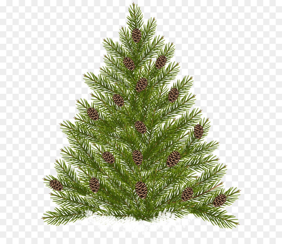 Raster graphics Scalable Vector Graphics - Pine Tree with Cones Transparent PNG Clip Art png download - 3414*4000 - Free Transparent Pine png Download.