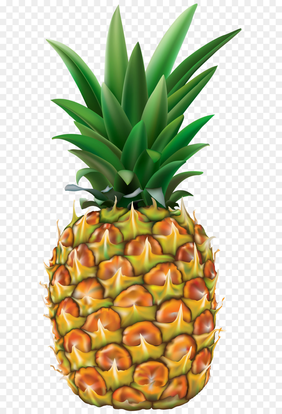 iPhone 6 Plus iPhone 8 iPhone X Juice iPhone 5s - Pineapple Transparent PNG Clip Art Image png download - 2472*5000 - Free Transparent Orange Juice png Download.