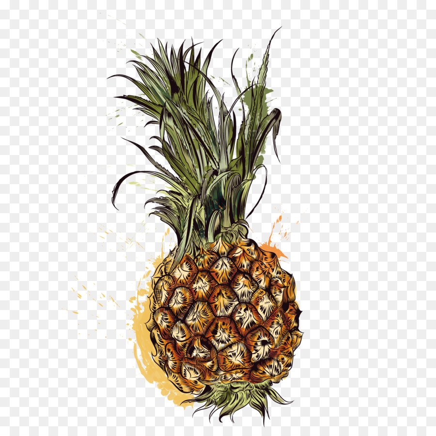 Pineapple Tropic Fruits - Vector fruit pineapple png download - 1600*1600 - Free Transparent Pineapple png Download.