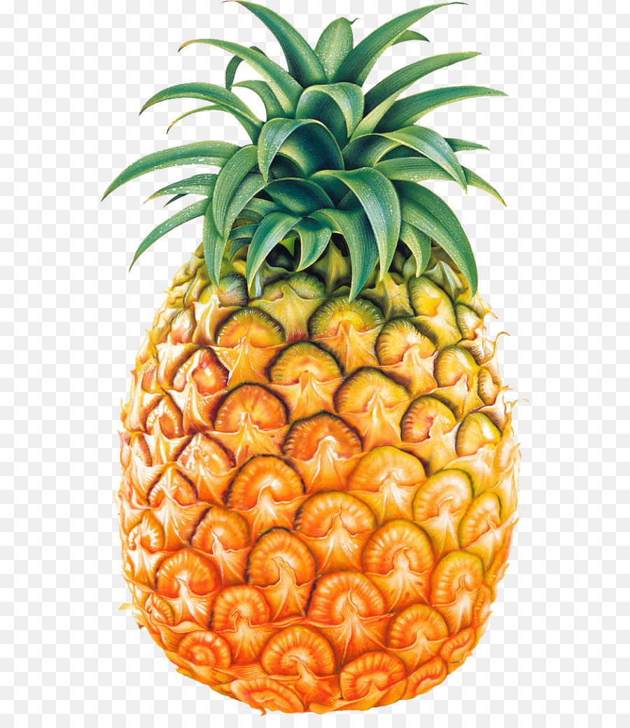 Pineapple Clip art - pineapple png download - 614*1024 - Free Transparent Pineapple png Download.
