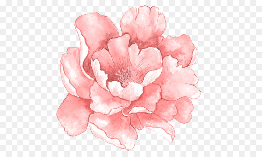 Pink flowers Watercolor painting - Pink watercolor flowers in full bloom png download - 2339*1940 - Free Transparent Watercolor Painting png Download.