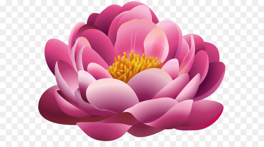 Pink flowers Clip art - Beautiful Pink Flower PNG Clipart Image png download - 5804*4326 - Free Transparent Pink Flowers png Download.