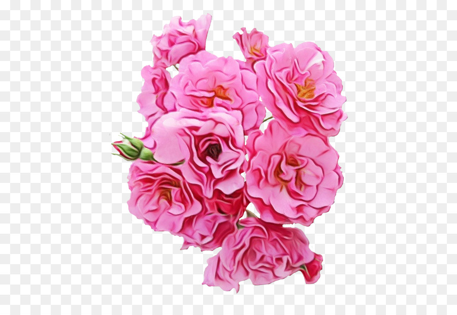 Pink flowers Garden roses Peony -  png download - 500*601 - Free Transparent Pink Flowers png Download.