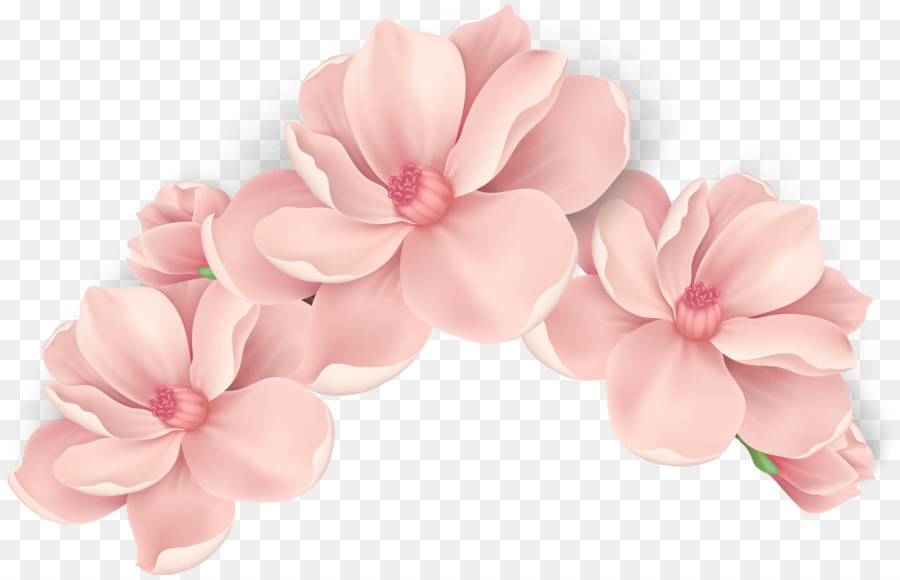 Pink flowers Rose - flower png download - 1602*1024 - Free Transparent Pink png Download.