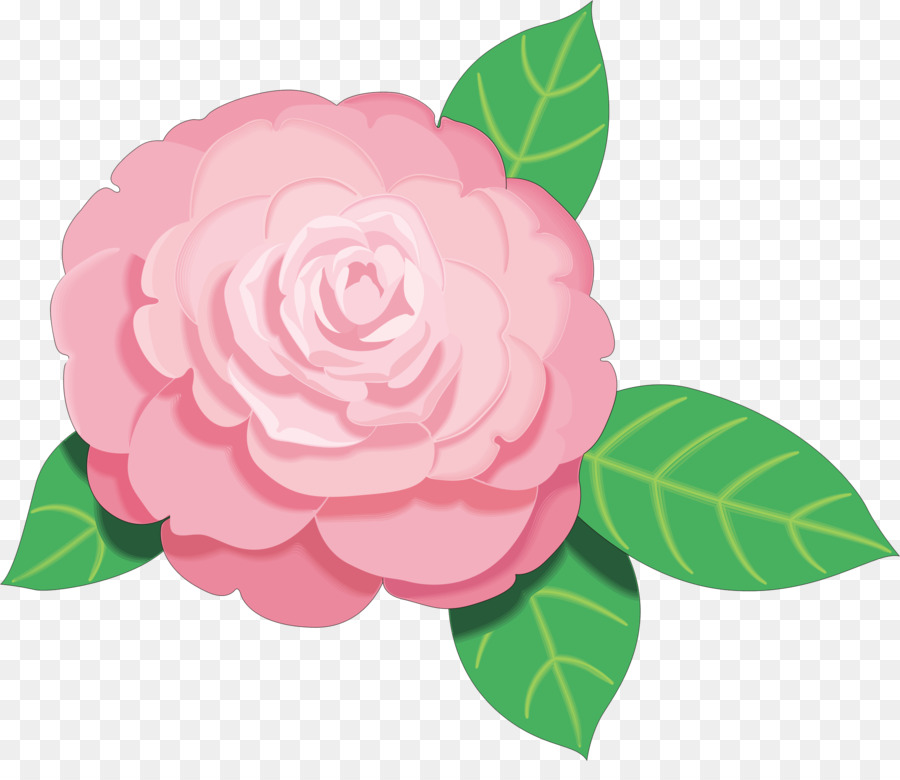 Pink flowers Clip art - camellia png download - 2296*1941 - Free Transparent Pink Flowers png Download.