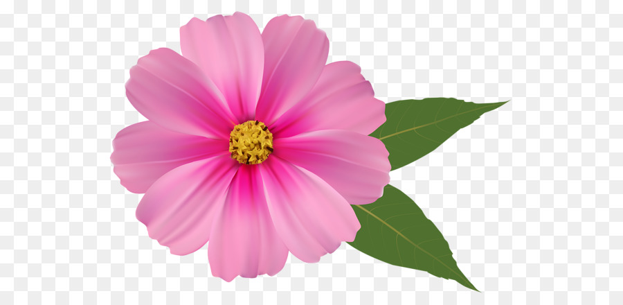 Pink flowers Rose Clip art - rose png download - 600*428 - Free Transparent Pink Flowers png Download.