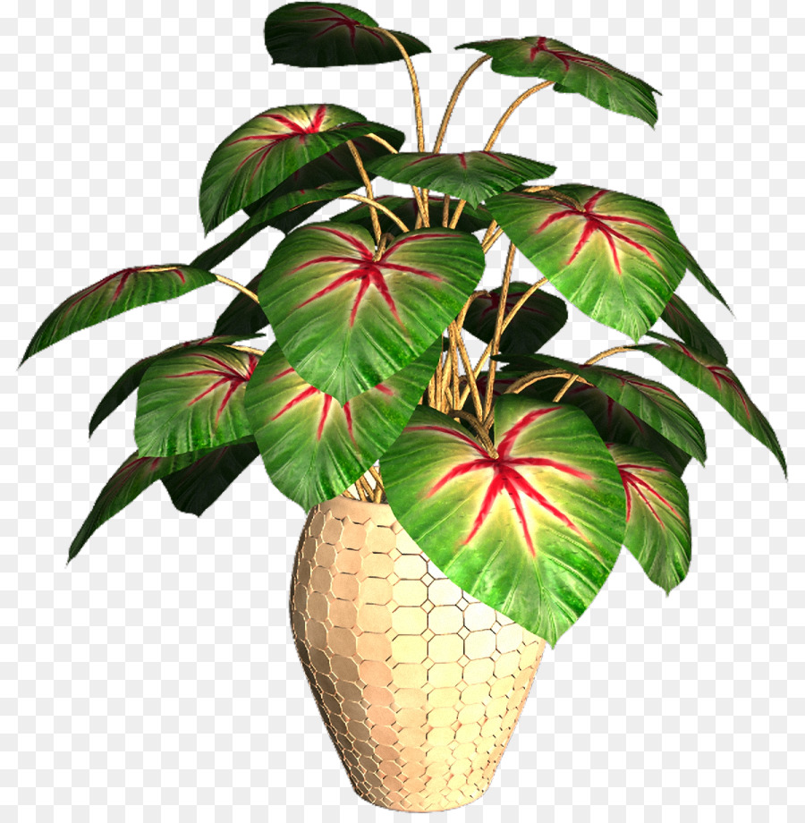 Portable Network Graphics GIF Image animation Flower - exotic plant png download - 868*910 - Free Transparent Animation png Download.