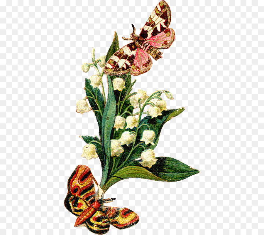 Portable Network Graphics Clip art GIF JPEG Butterflies and moths - lily of the valley icon png download - 466*800 - Free Transparent Butterflies And Moths png Download.