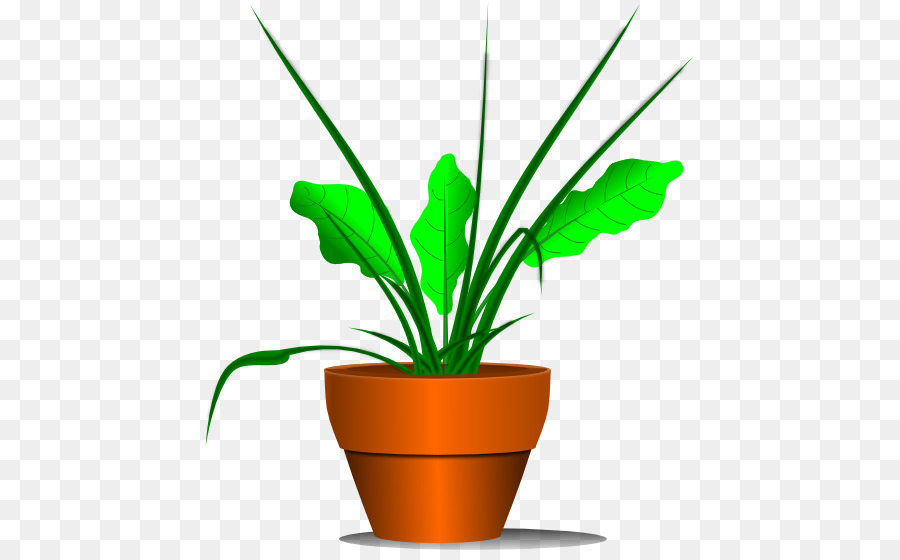 Houseplant Clip art - No Plants Cliparts png download - 489*550 - Free Transparent Plant png Download.