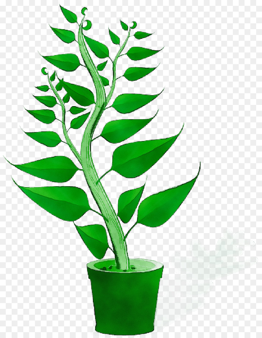 Plants Plant genetics Agriculture Plant breeding -  png download - 880*1156 - Free Transparent Plants png Download.