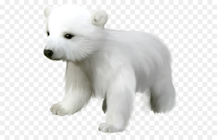 Polar bear Giant panda Clip art Image - polar bear png download - 600*569 - Free Transparent Polar Bear png Download.