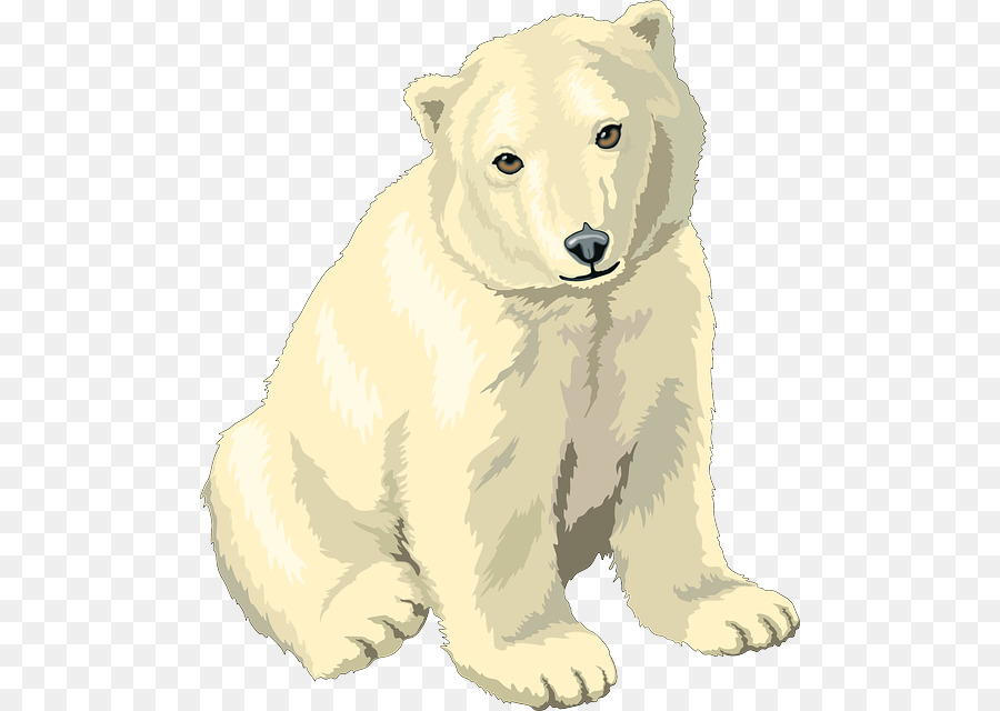 Polar Bear, Polar Bear, What Do You Hear? Clip art - Polar white bear PNG png download - 540*640 - Free Transparent Polar Bear png Download.