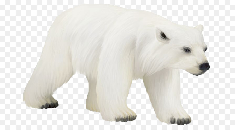 Polar bear Bird Animal Clip art - Polar Bear PNG Photos png download - 736*487 - Free Transparent Polar Bear png Download.