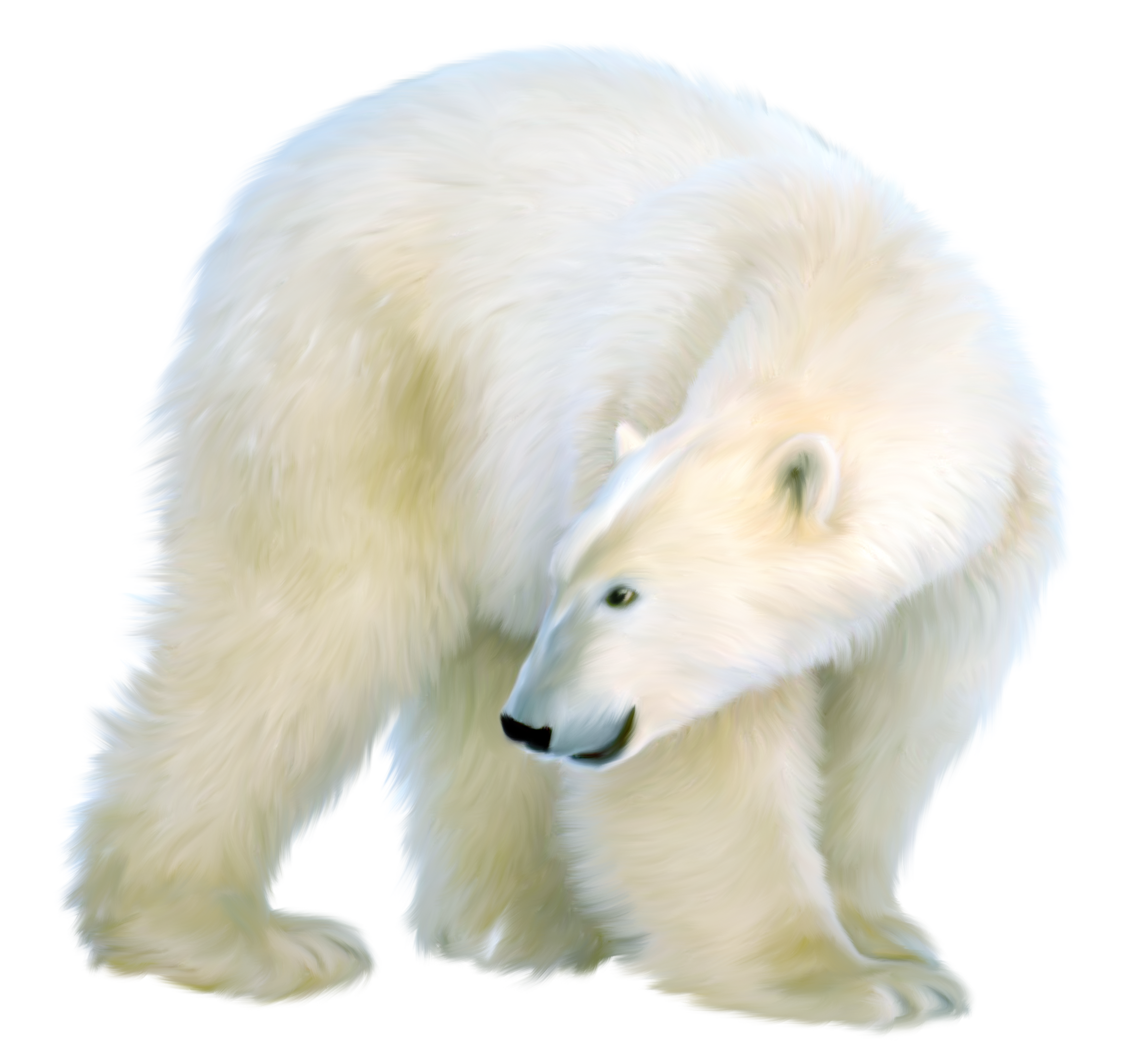 Polar bear Clip art - bear png download - 2378*2216 - Free Transparent ...