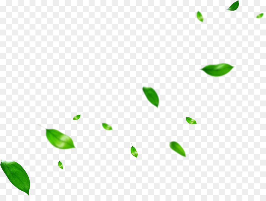 Leaf Clip art Portable Network Graphics Plant stem Image - leaf png download - 998*736 - Free Transparent Leaf png Download.