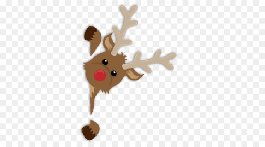 Reindeer Rudolph Christmas ornament - Reindeer png download - 500*500 - Free Transparent Reindeer png Download.