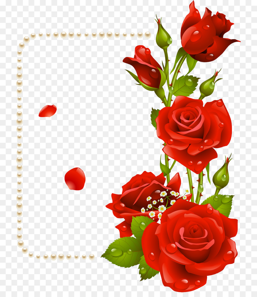 Rose Flower Clip art - red rose border png download - 788*1024 - Free Transparent Rose png Download.
