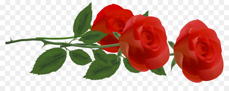 Rose Flower Clip art - red rose border png download - 6399*2464 - Free Transparent Rose png Download.