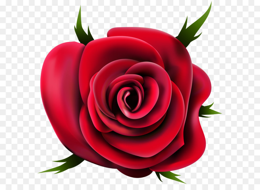 Garden roses Clip art - Transparent Rose PNG Clip Art png download - 5000*4969 - Free Transparent Rose png Download.