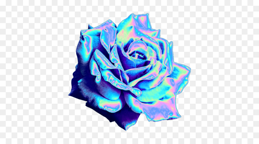 Blue rose Garden roses Tumblr Blog - holography png download - 500*500 - Free Transparent Blue Rose png Download.