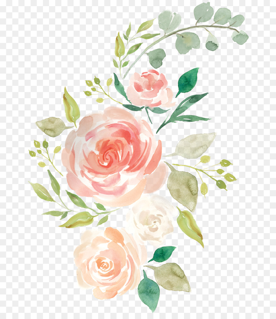 Watercolor painting Portable Network Graphics Floral design Flower Rose - flowers watercolor png transparent png download - 737*1023 - Free Transparent Watercolor Painting png Download.