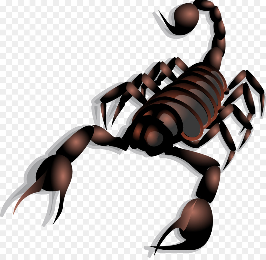 Scorpion Clip art - Vector Scorpion png download - 1173*1138 - Free Transparent Scorpion png Download.