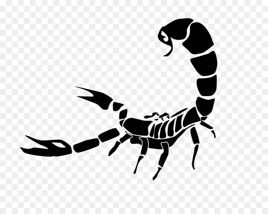 Portable Network Graphics Scorpion Clip art Transparency - scorpion tattoo png download - 800*708 - Free Transparent Scorpio png Download.