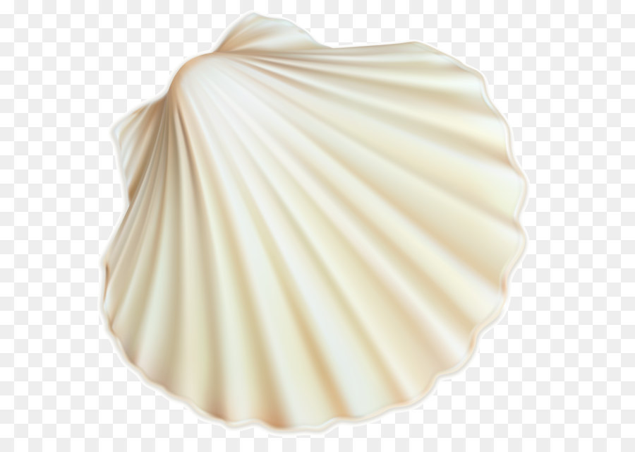 Seashell Restaurant Seashell #6 Seashell Trust Spiral - White Sea Shell PNG Clipart Image png download - 2682*2639 - Free Transparent Cockle png Download.