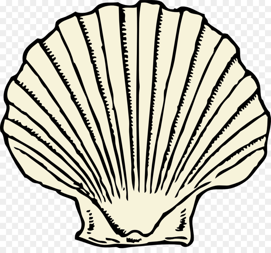 Clam Seashell Clip art - SEA SHELL png download - 1000*916 - Free Transparent Clam png Download.
