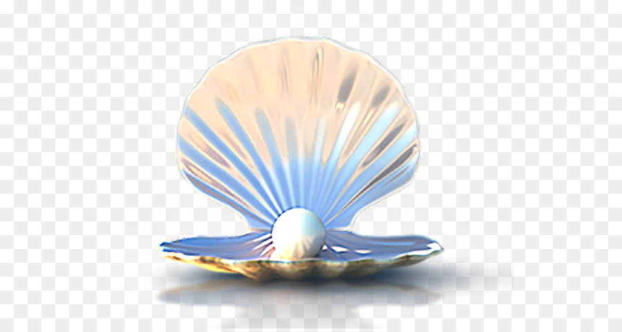 Seashell Download Computer file - Seashells png download - 587*475 - Free Transparent Seashell png Download.