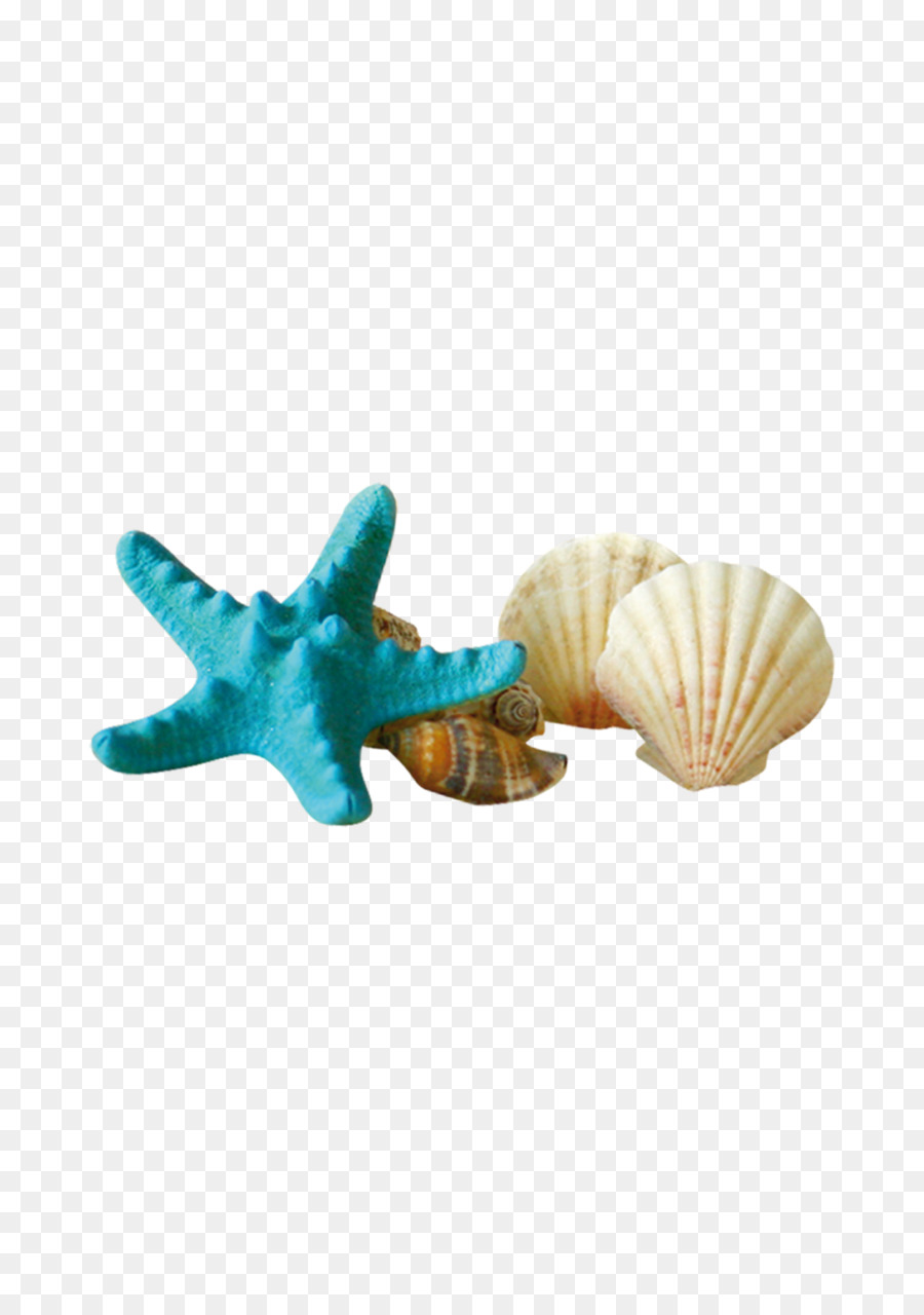Seashell Starfish Sunscreen Gratis - Shells starfish png download - 2480*3508 - Free Transparent Seashell png Download.