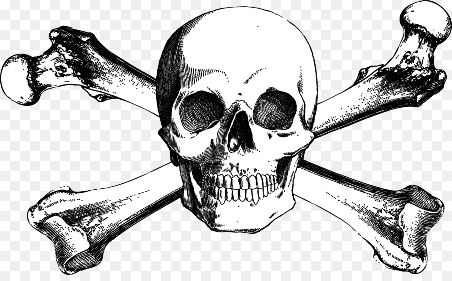Skull and Bones Skull and crossbones Drawing - Skull png download - 1300*791 - Free Transparent Skull And Bones png Download.
