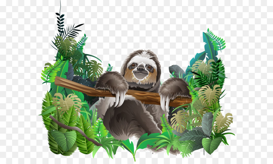 Sloth Euclidean vector Rainforest - Rainforest animal vector png download - 7348*6012 - Free Transparent Sloth ai,png Download.