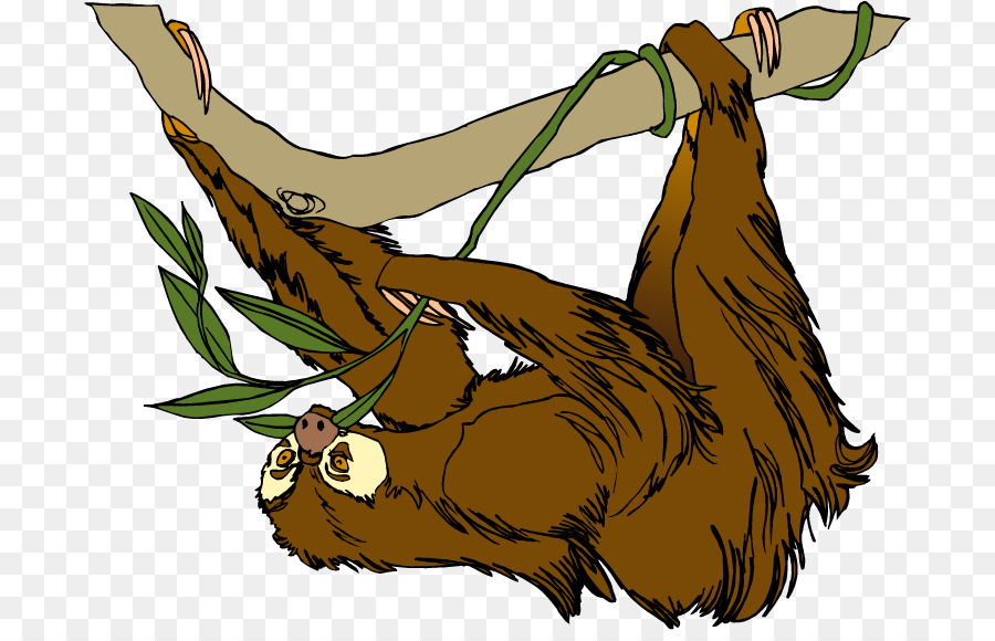 Sloth Free content Clip art - Sloth Cliparts png download - 750*573 - Free Transparent Sloth png Download.