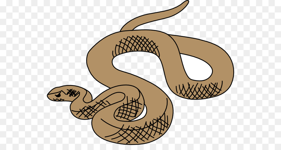 Eastern brown snake Clip art - Cartoon Snake Cliparts png download - 600*464 - Free Transparent Snake png Download.