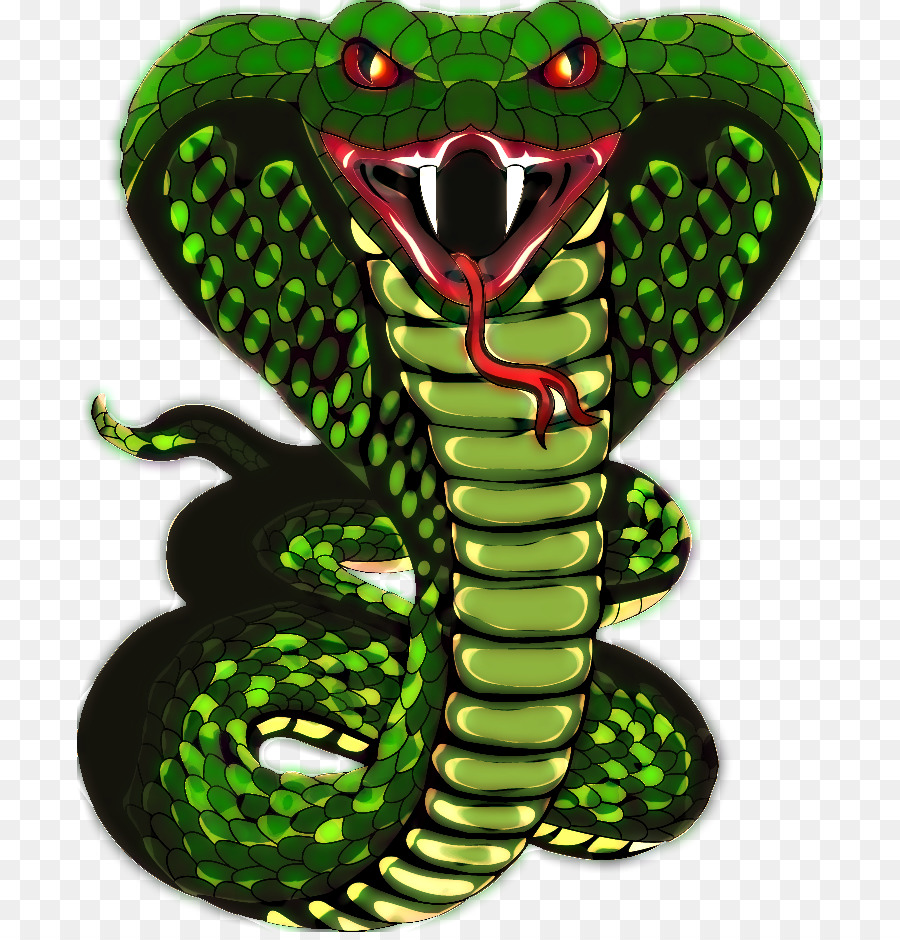Snake scale King cobra - King Cobra png download - 746*932 - Free Transparent Snake png Download.