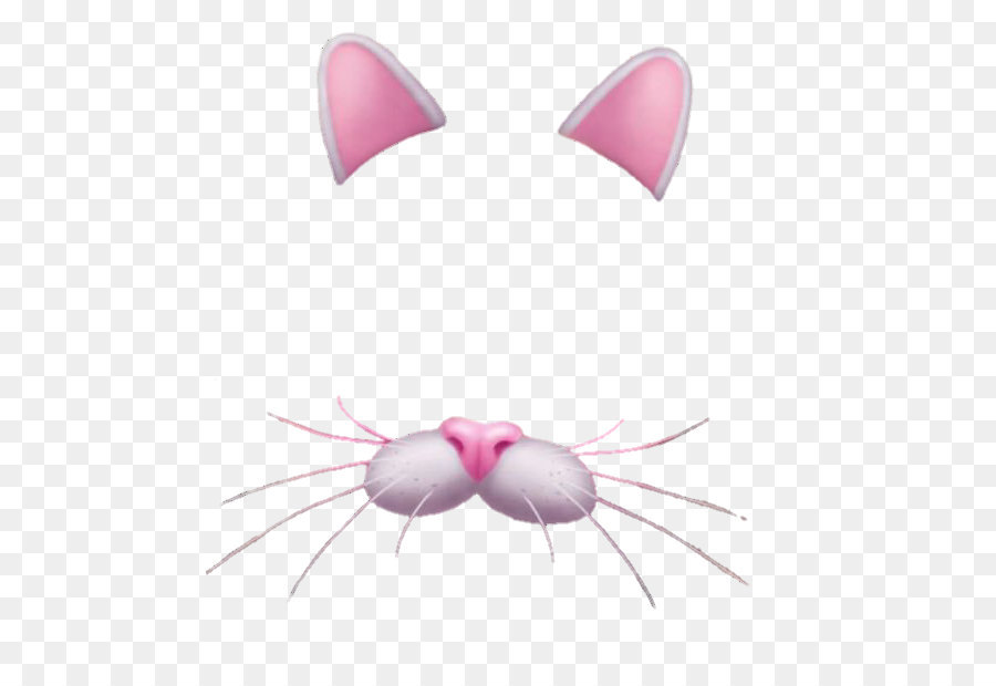 Cat Kitten Snapchat - Snapchat Filters Free Download Png png download - 529*609 - Free Transparent  png Download.